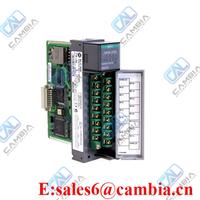 Allen Bradley 1756-PLS /B ControlLogix Programmable Limit Switch Module